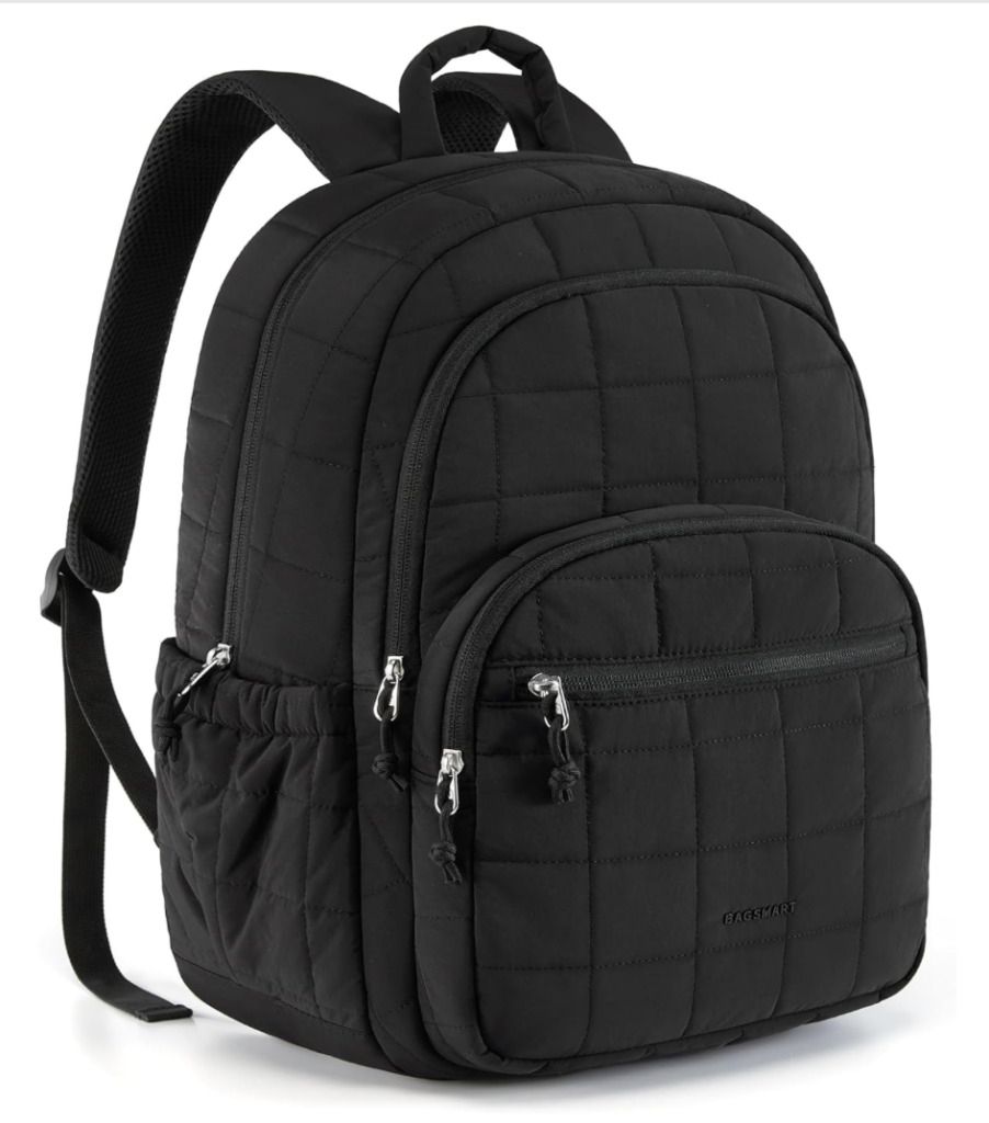 BAGSMART College Laptop Backpack