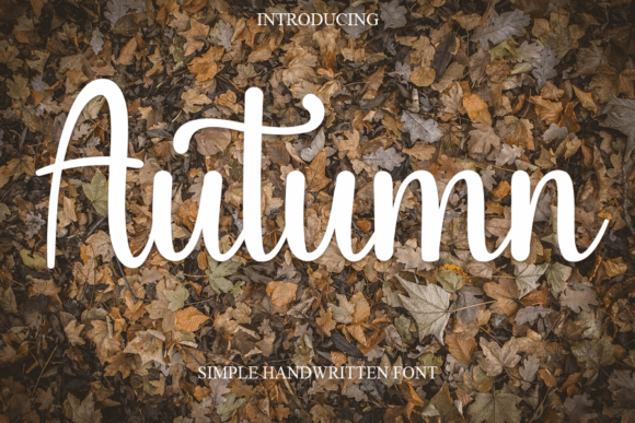 Autumn Fonts (Fall): Cozy, Rustic & Harvest-Ready