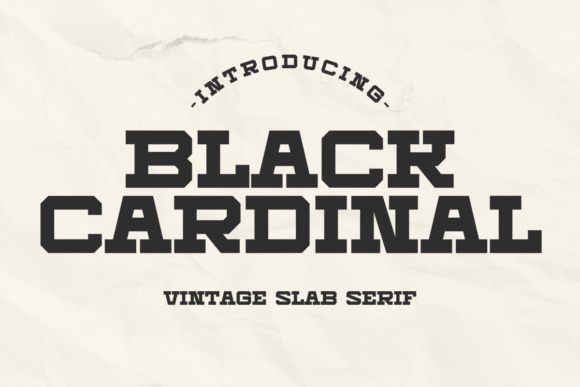 Black Friday Font