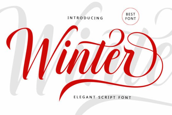 Winter Fonts