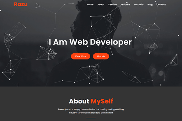 Web developer website template preview